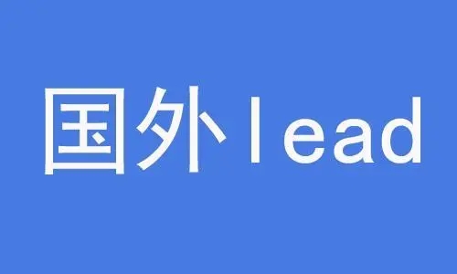 什么是国外lead项目？还能赚钱吗？