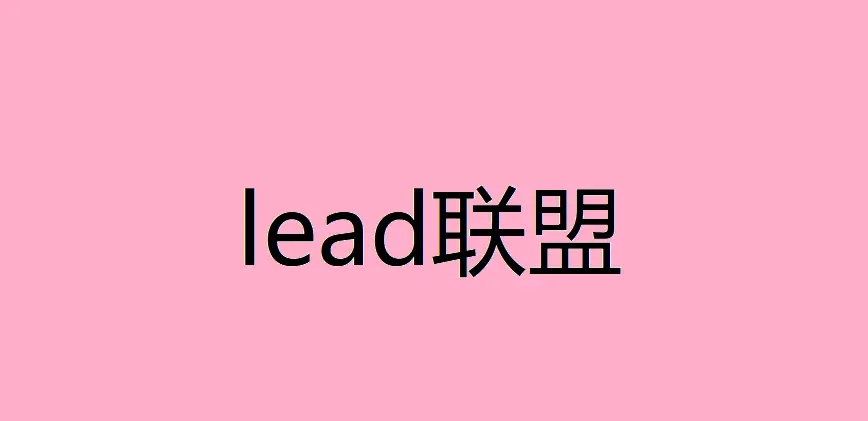 国外lead项目实操解析，国外广告联盟赚钱是不是真的